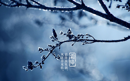 霜降时节该怎么饮食 霜降应多吃哪些食物