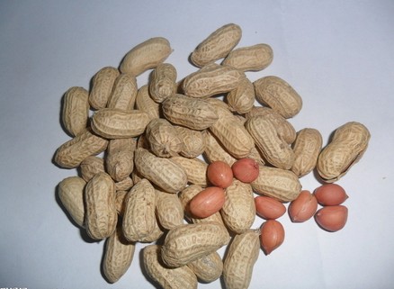 不宜食用花生的人有哪些