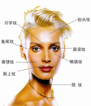 从脸上皱纹看出身体状况