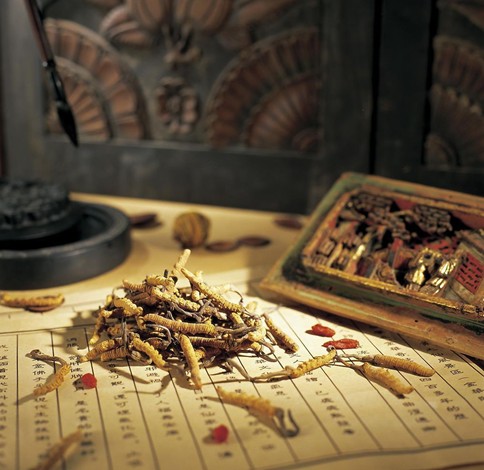 中医教你观七窍知疾病