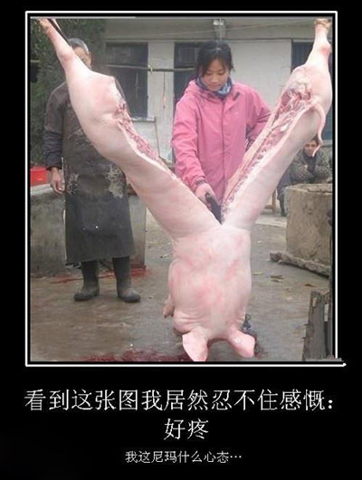 现在的妹子好彪悍