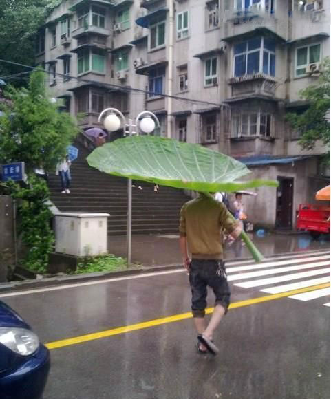  搞笑图片笑死人
