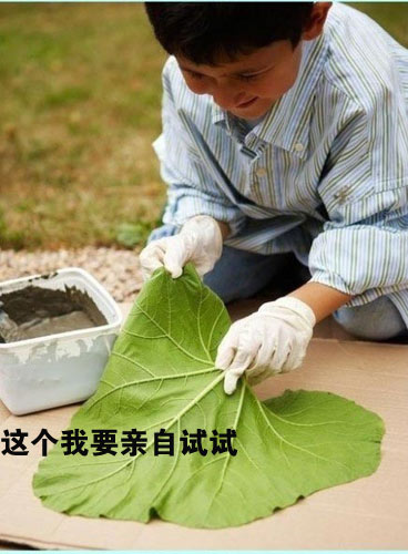 哥们 你千万要手下留情